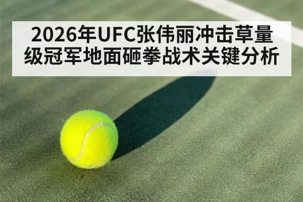 2026年UFC张伟丽冲击草量级冠军地面砸拳战术关键分析